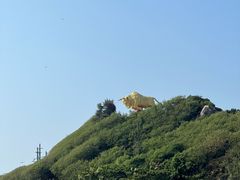 -三亚西岛海洋文化旅游区