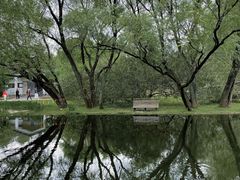 -上海共青森林公园