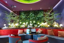 -花隐·美芙炫海菲秀皮肤管理中心