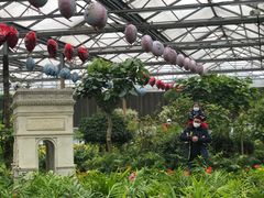 -南宫五洲植物乐园