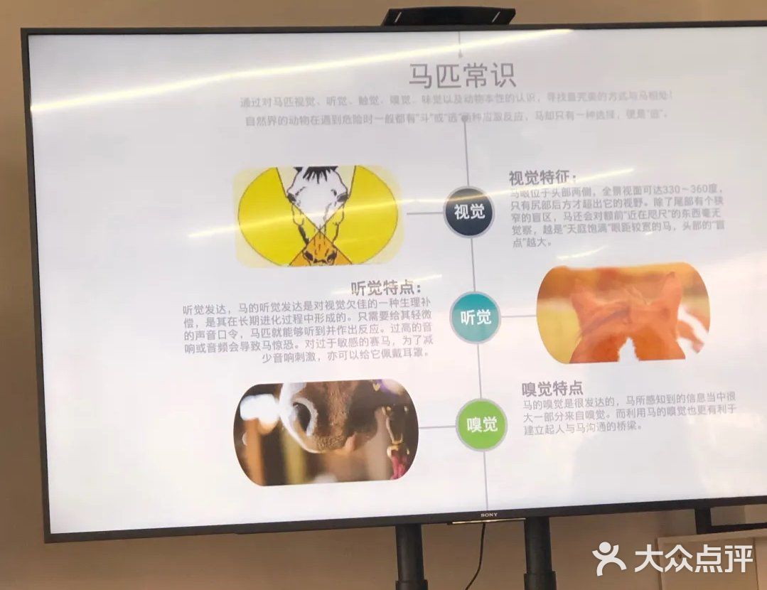 春天马术🏇🏻知道一下！