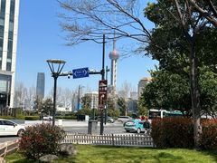 -东方明珠广播电视塔