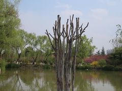 -宝鸡植物园
