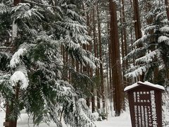 -北海道神宫