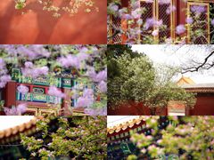 -故宫博物院(故宫)