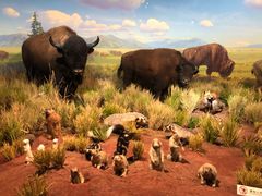 -陕西自然博物馆