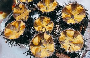 Yellow Sea Urchin Steamed Egg