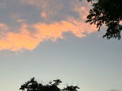 -北龙湖湿地公园