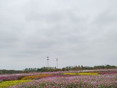 -映月湖中央公园