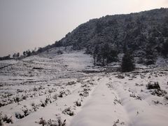 -午潮山国家森林公园