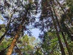 -井冈山风景名胜区-黄洋界