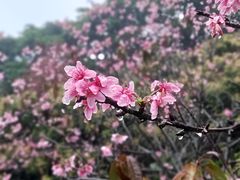 -小南山公园