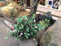 -园林美食城·本土农家菜(杨和镇店)