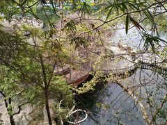 -绵阳人民公园(涪城区)