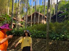 -海南槟榔谷黎苗文化旅游区