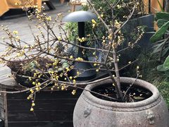 -悦哉·派对·草坪婚礼·围炉煮茶(三圣乡店)