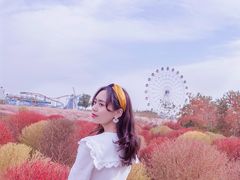 -金卉庄园