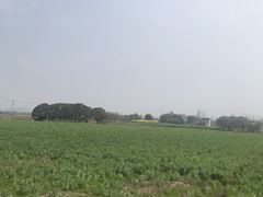 -嘉北郊野公园