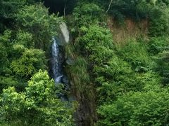 -水濂山森林公园