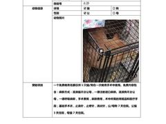 -萌兽医馆·犬猫专科·眼科中心·宠物医院(朝阳门分院)