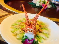 -碧丽宫大酒店(召稼楼店)
