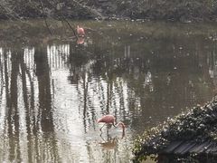 -合肥野生动物园