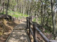 -上海佘山国家森林公园天马山园