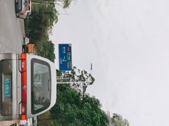 -天鹿湖森林公园