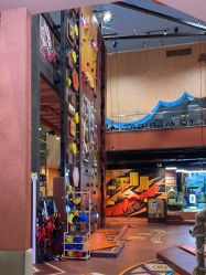 -卡通尼·Safari非洲探索乐园·生日会(金桥国际商业广场店)