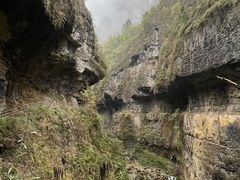 -鹿院坪生态旅游景区