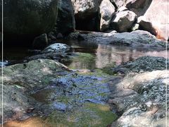-湖州龙王山景区