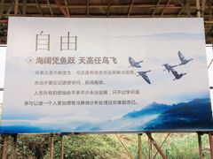 -苏州大学（独墅湖校区）-炳麟图书馆