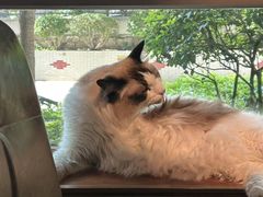 -咖法森林·咖啡  酒吧(天河店)