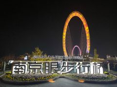 -南京眼步行桥