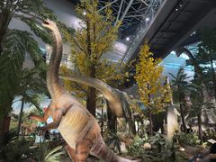 -湖南省地质博物馆