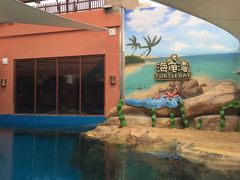 -三亚海昌梦幻海洋不夜城