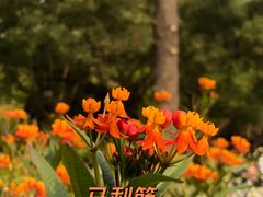 -陶然亭公园
