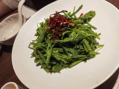 山茶油丝瓜尖-清水亭湖北菜(大屯DT51店)