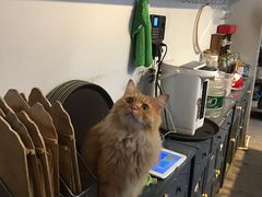 -小时光咖啡馆(北锣鼓巷店)
