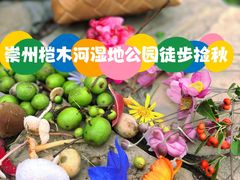 -桤木河湿地公园