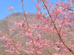 -明月山风景名胜区