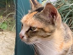 -启德考培雅思托福留学(香洲校区)