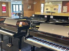 -知音艺术教育培训·钢琴培训·音乐培训(河西金鹰世界校区)