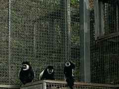 -黔灵山公园