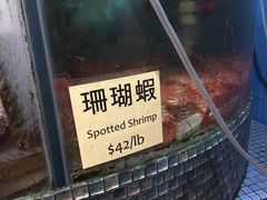 -香港东海海鲜酒家