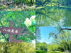 -上海共青森林公园