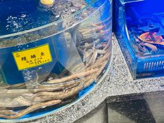-新海渔港·胶东海鲜家常菜·家宴(奥体中心店)