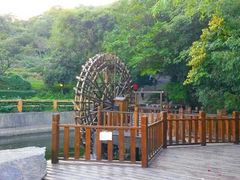 -石老人观光园