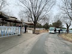 -秦始皇帝陵博物院-丽山园