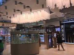 -吉隆坡国际机场